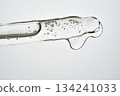 Serum cosmetic pipette dropper with liquid and bubbles 134241033
