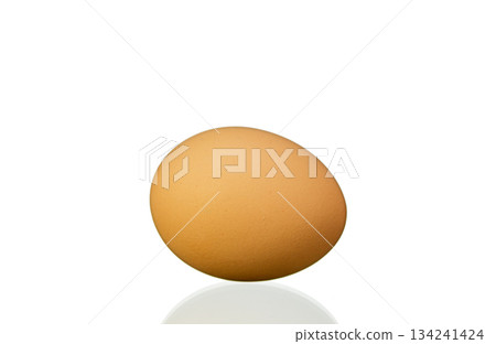 A large egg is sitting on a white background A large egg is sitting on a white background 134241424