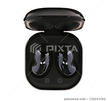 A pair of earbuds with the letters L and R on the side A pair of earbuds with the letters L and R on the side 134241444