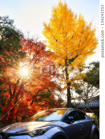 Reflecting Autumn 134241555