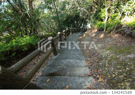 惠比壽洞穴步道，德島縣南町 134241589