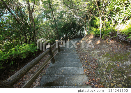 Ebisu Cave Promenade, Minami Town, Tokushima Prefecture 134241590