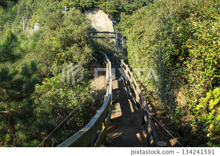 惠比壽洞穴步道，德島縣南町 134241591