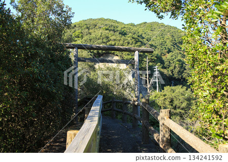 Ebisu Cave Promenade, Minami Town, Tokushima Prefecture 134241592