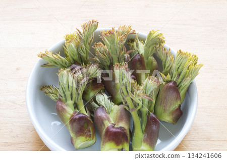 Spring wild vegetable Taranome 134241606