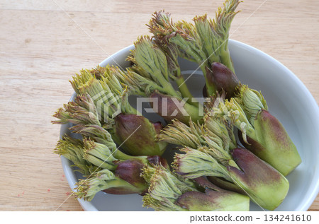 春季野菜塔拉諾姆 134241610