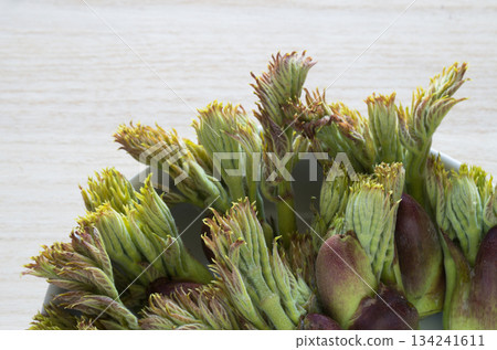 春季野菜塔拉諾姆 134241611