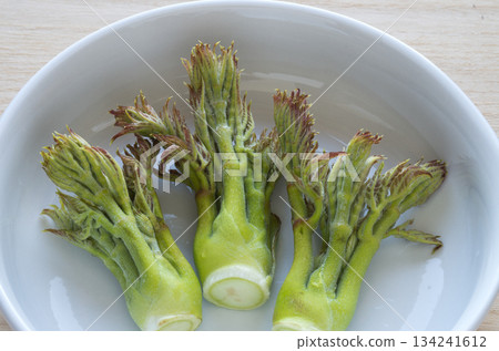 春季野菜塔拉諾姆 春季野菜塔拉諾姆 134241612