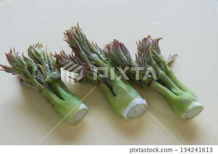 Spring wild vegetable Taranome Spring wild vegetable Taranome 134241613