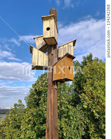 Five birdhouses are nailed to one pole, facing in different directions 134242268