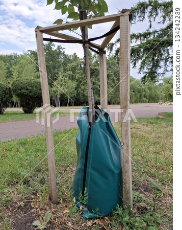 Tree trunk protectors. Green leather protectors a trunk on young trees Tree trunk protectors. Green leather protectors a trunk on young trees 134242289