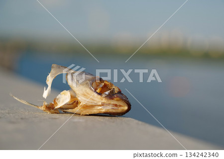 Head of eaten dried fish on river bank 134242340