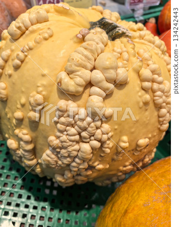 Unusual gourd with unique texture displays nature's creativity 134242443