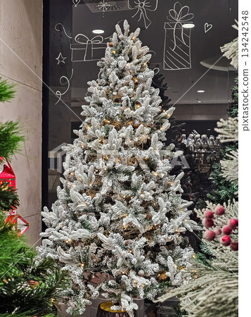 Decorative Snow-Covered Christmas Tree with Gift Illustrations in Store Window 134242548