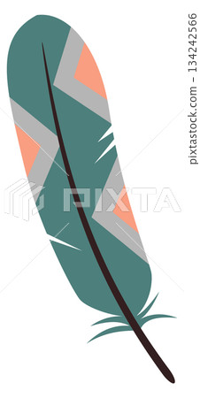 Bird feather. Color wing quill decorative pattern 134242566