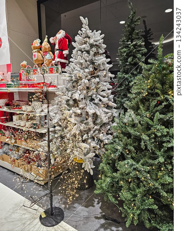 Christmas Trees and Santa Claus in Shopping Mall Interior Christmas Trees and Santa Claus in Shopping Mall Interior 134243037