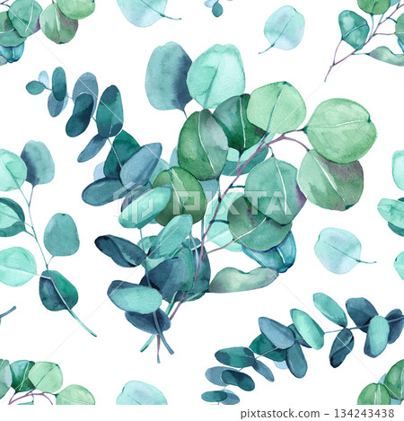 Fresh watercolor illustration with eucalyptus branches and round leaves. Modern botanical pattern with calm natural palette, perfect for minimal, organic and eco friendly design concepts. 134243438