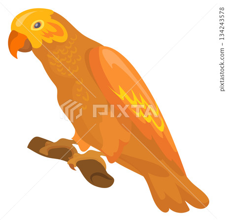 Golden conure. Sun yellow parrot sit on branch 134243578