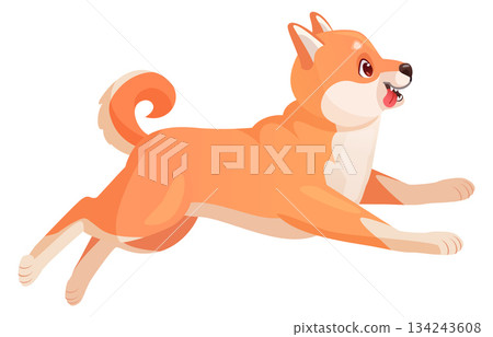 Running dog. Shiba inu breed cartoon pet 134243608