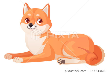 Laying shiba inu. Home dog breed mascot Laying shiba inu. Home dog breed mascot 134243609