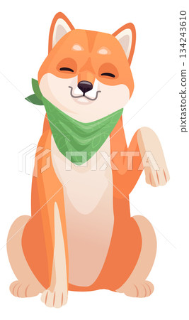 Cute shiba inu in green cloth. Funny dog character Cute shiba inu in green cloth. Funny dog character 134243610