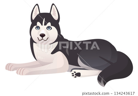Laying husky cartoon mascot. Cute pet dog Laying husky cartoon mascot. Cute pet dog 134243617