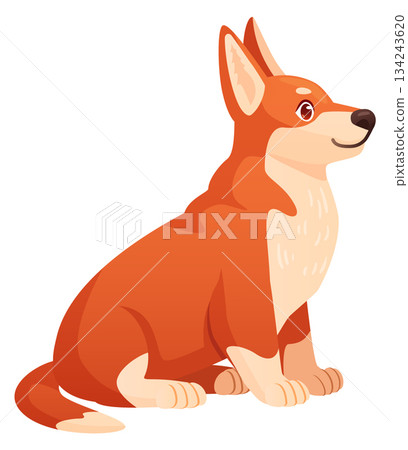 Cute corgi sit. Baby dog cartoon pose Cute corgi sit. Baby dog cartoon pose 134243620