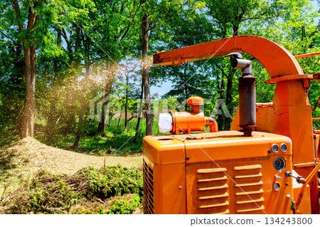 Wood chipper operates in forested area with trees surrounding machine on green landscape 134243800