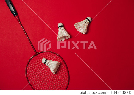 Badminton racket and shuttlecocks arranged on a bold red background 134243828