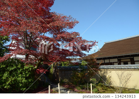 京都市北區紫野,大德寺秋景,從大神院遠眺瑞峰院 京都市北區紫野,大德寺秋景,從大神院遠眺瑞峰院 134243913