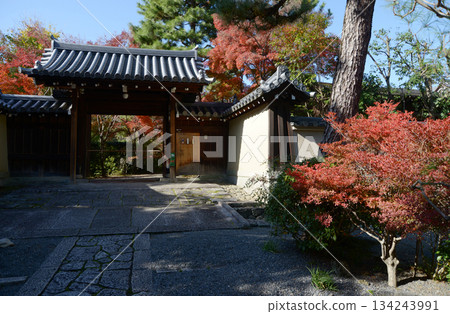 Autumn at Daitokuji Temple, Shojuin Temple Gate, Murasakino, Kita Ward, Kyoto City 134243991