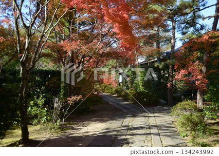 京都市北區紫野市正壽院、大德寺院內的秋天 134243992