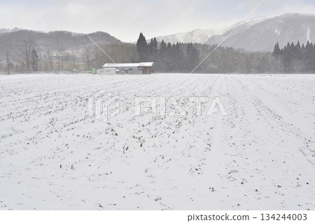 Photographing snow-covered fields in Otobe, Hokkaido in winter 134244003