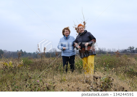 Full length portrait of cheerful senior women with person in wheelchair enjoying walk together in park 134244591