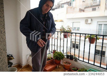 Elderly Man On Balcony With Walking Cane Tending Potted Plants In Urban Home 134244853