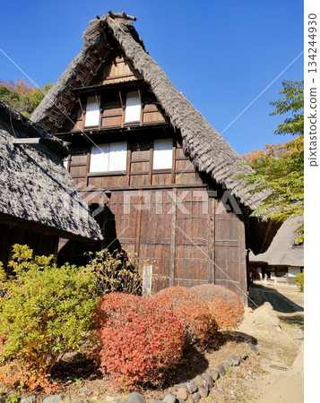 城市裡一座古老的民宅博物館，合掌造風格 134244930