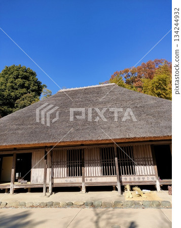 An old folk house museum in the city, Gassho-style 134244932