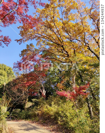 城市裡一座古老的民宅博物館,合掌造風格 城市裡一座古老的民宅博物館,合掌造風格 134244937