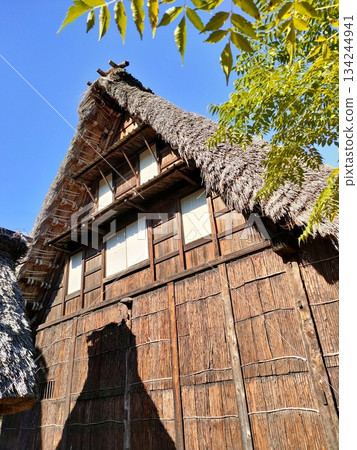 An old folk house museum in the city, Gassho-style An old folk house museum in the city, Gassho-style 134244941