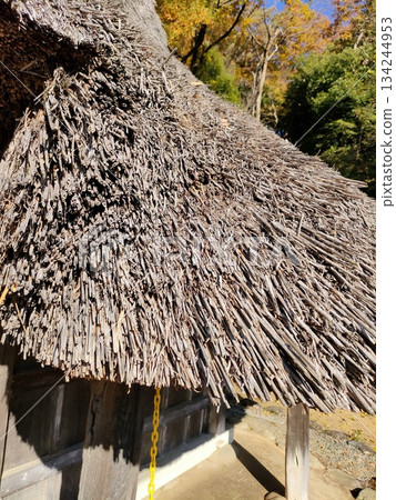 An old folk house museum in the city, Gassho-style 134244953