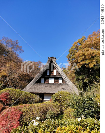 An old folk house museum in the city, Gassho-style 134244959