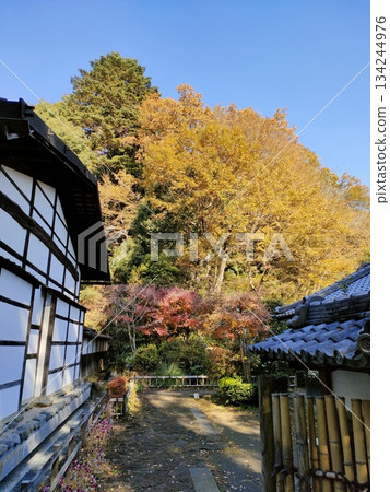 城市裡一座古老的民宅博物館，合掌造風格 134244976