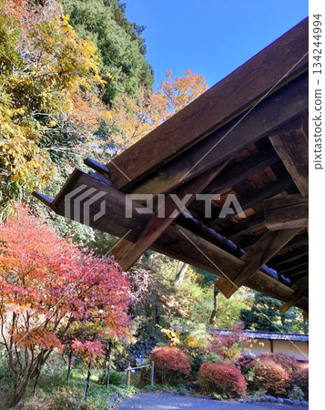 An old folk house museum in the city, Gassho-style An old folk house museum in the city, Gassho-style 134244994