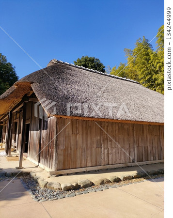 An old folk house museum in the city, Gassho-style 134244999