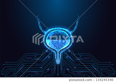 Urology digital bladder with glowing circuitry, futuristic medical technology vector illustration 134245340