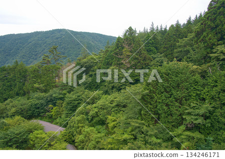 群山環繞，景色壯麗，綠意盎然。 134246171