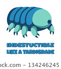 Indestructible Tardigrade Cartoon Illustration 134246245