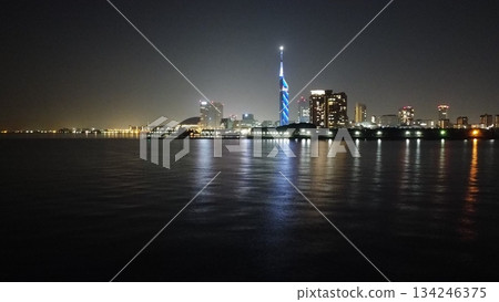 福岡塔 134246375