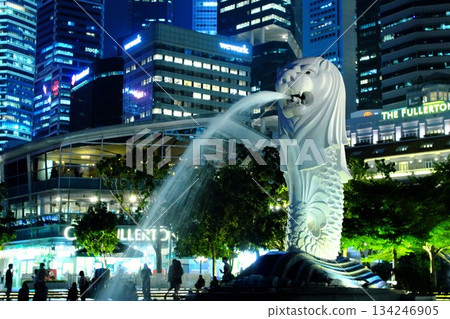 美麗的夜景和魚尾獅 美麗的夜景和魚尾獅 134246905