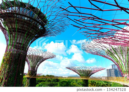 天空步道景觀 天空步道景觀 134247328